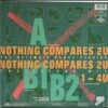 Chyp-Notic – Nothing Compares 2U - Image 3